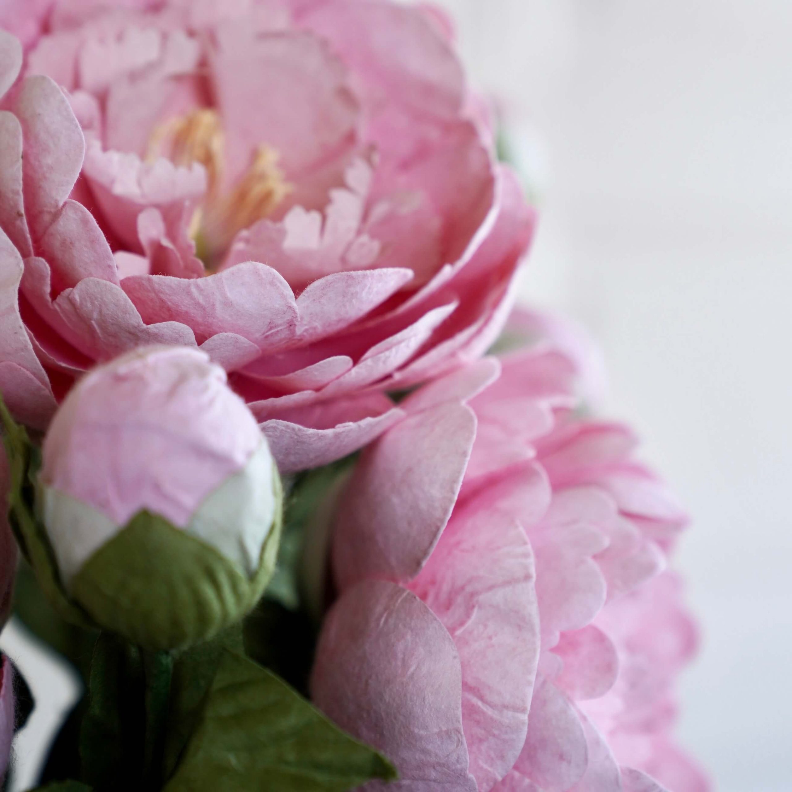 Grande pivoine en papier rose clair – Image 8